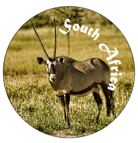 Button Magnet Oryx