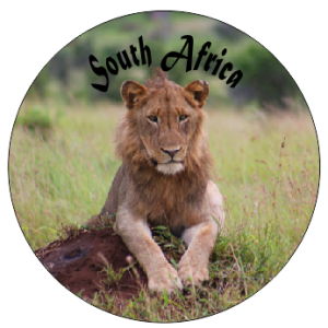 Button Magnet Lion