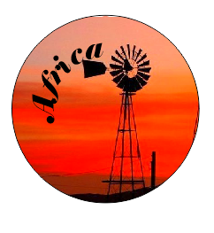 Button Magnet Windmill