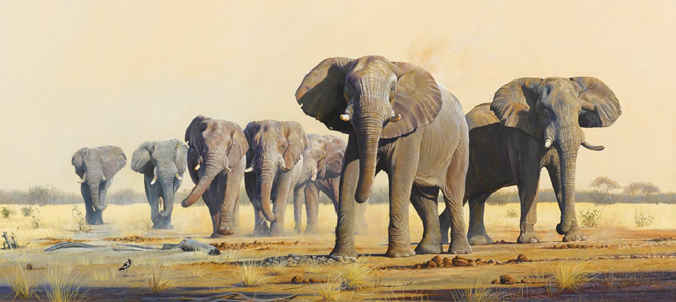 Candle Shade Elephant Assorted - Image 7