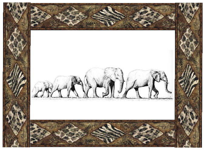Candle Shade Elephant Assorted - Image 5