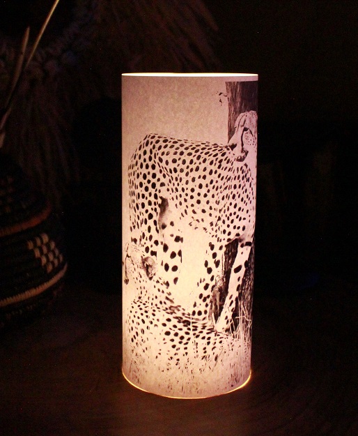 Candle Shade Cheetah Assorted - Image 7