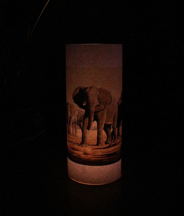 Candle Shade Elephant Assorted - Image 8