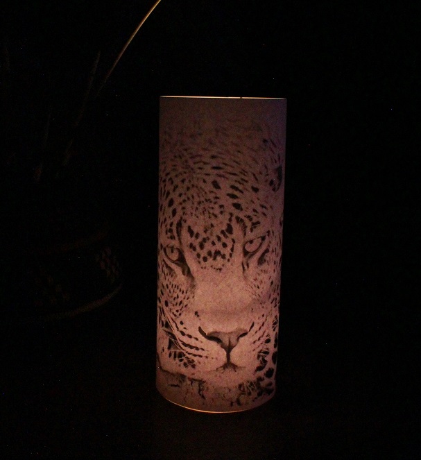 Candle Shade Leopard Assorted - Image 4