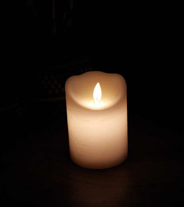 Candle Shade Cheetah Assorted - Image 5