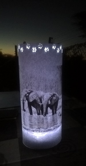 Candle Shade Elephant Assorted - Image 14