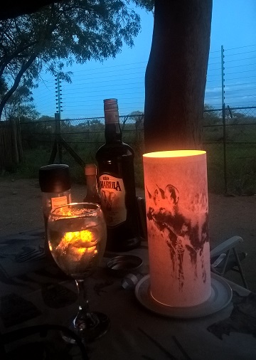 Candle Shade Cheetah Assorted - Image 12