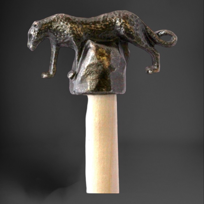 Pencil Cheetah