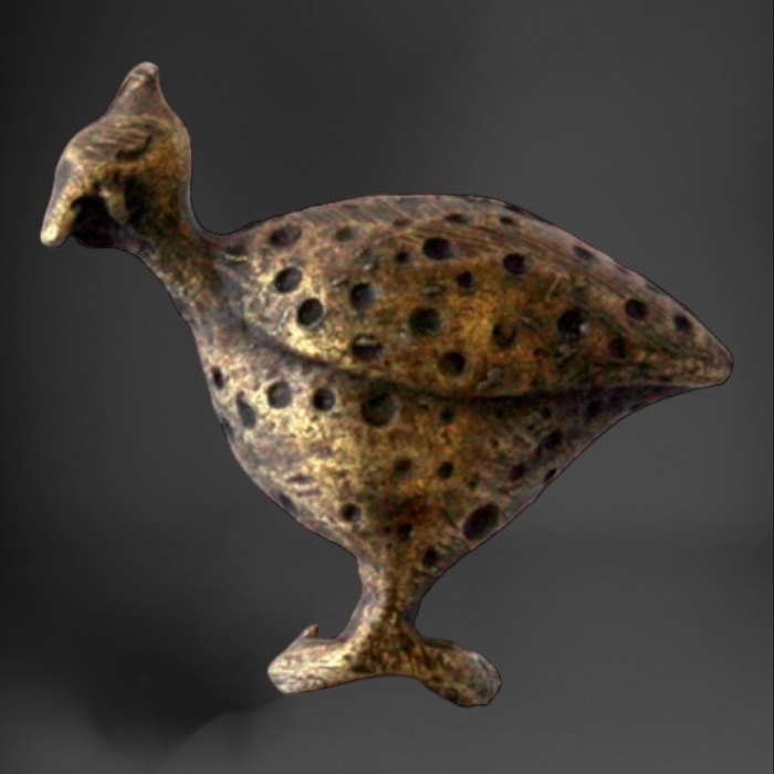 Pencil Guinea Fowl