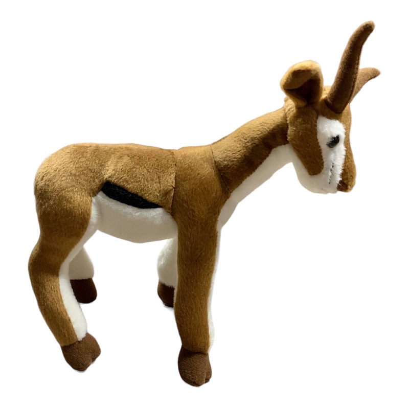 Springbok 25cm