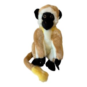 Vervet Grivet Monkey 26cm