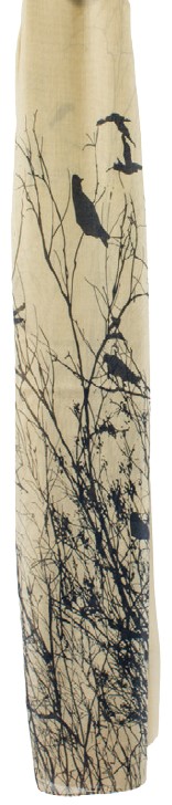 No image set 