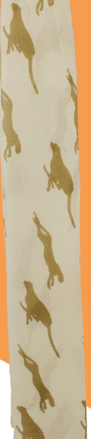 No image set 